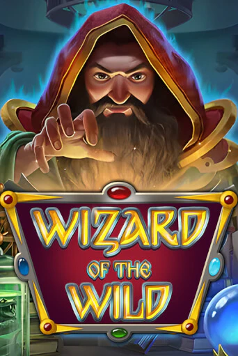 Бесплатная игра Wizard of the Wild от Platipus | ChampionSlots Casino 